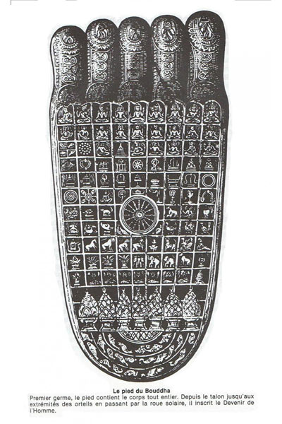 le-pied-de-boudha-web