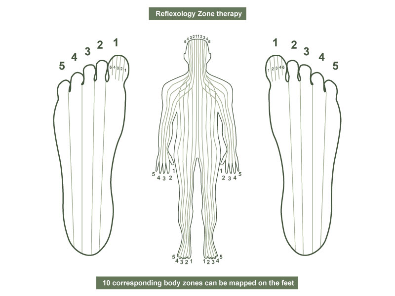 réflexologie zone thérapie