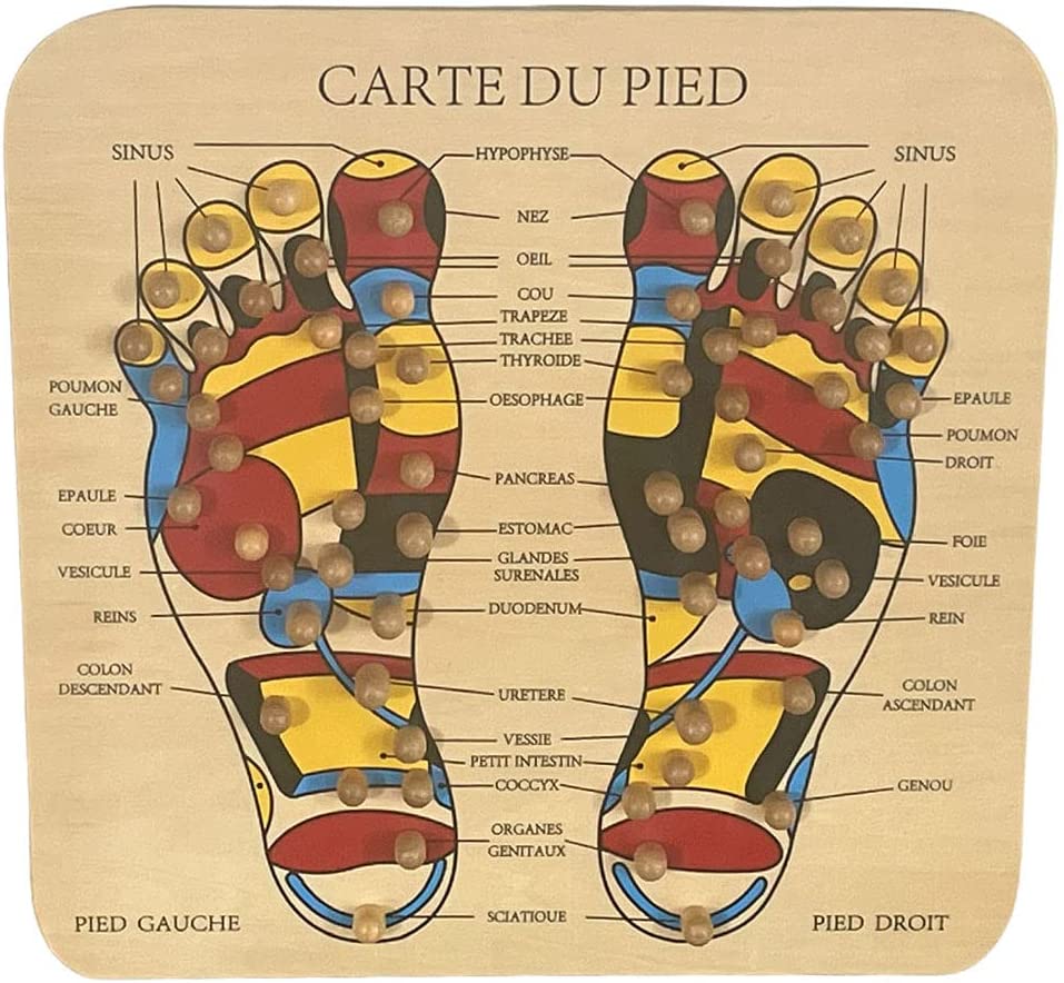 Les pieds et les organes